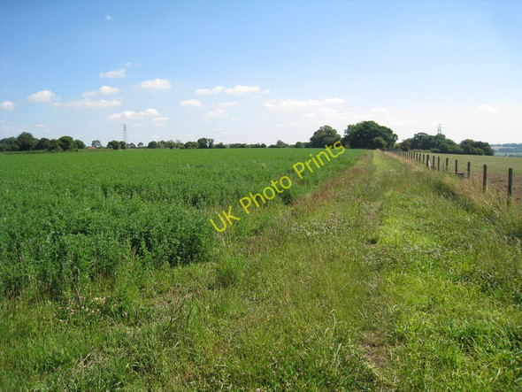 Photo 6"x4" Crop Field off Chapel Lane Elham c2010