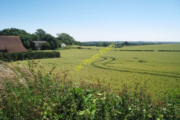 Photo 6"x4" Wheat Field off Scot's Lane Stowting Court c2010