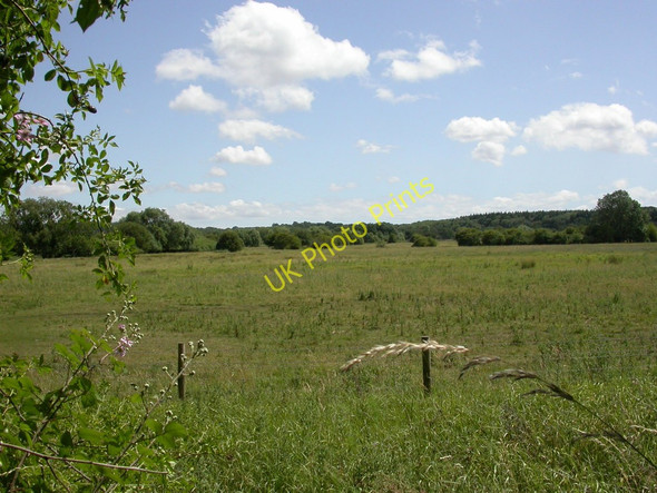 Photo 6"x4" Eastleigh, nature reserve Eastleigh\/SU4519 c2010