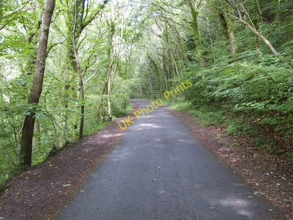 Photo 6"x4" Plym Valley Trail Leigham c2010