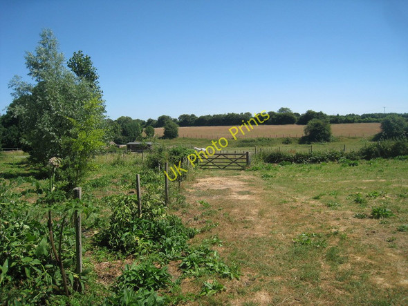 Photo 6"x4" Fields near Temple Field Anvil Green c2010