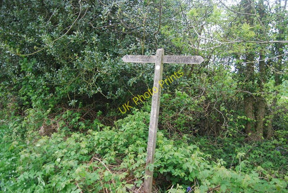 Photo 6"x4" Sussex Border Path signpost, edge of Round Wood Cinder Hill\/TQ3729 c2010