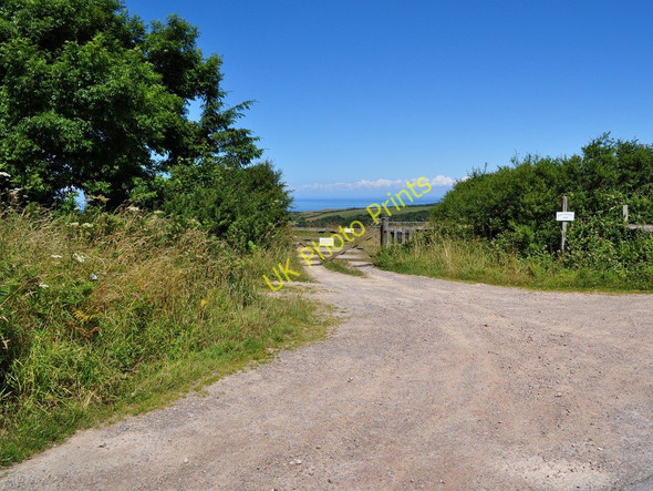 Photo 6"x4" The Entrance to Middle Campscott Farm Ilfracombe c2010
