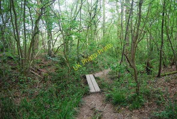 Photo 6"x4" Small footbridge in Pain's Wood Cinder Hill\/TQ3729 c2010