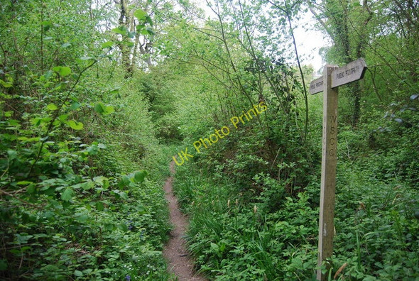 Photo 6"x4" Footpath sign in Pain's Wood Cinder Hill\/TQ3729 c2010