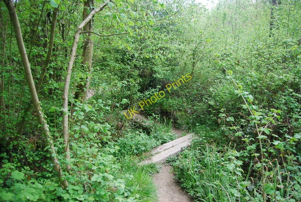 Photo 6"x4" Footbridges in Pain's Wood Cinder Hill\/TQ3729 c2010