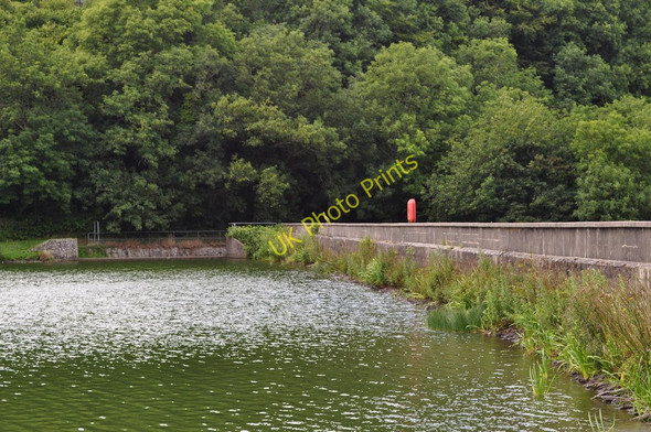 Photo 6"x4" A Heron sits on the wall at the Northern end of Slade Reservoir Ilfracombe c2010