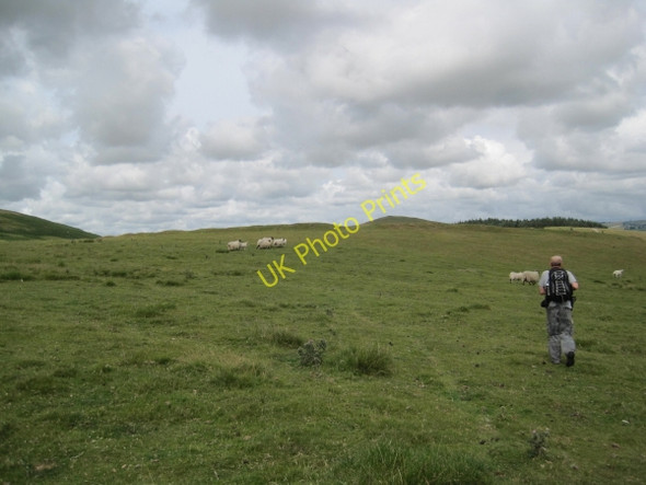 Photo 6"x4" Settlement near Old Fawdon Hill Eslington Park c2010