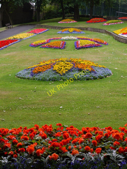 Photo 6"x4" Felling Park Felling c2010