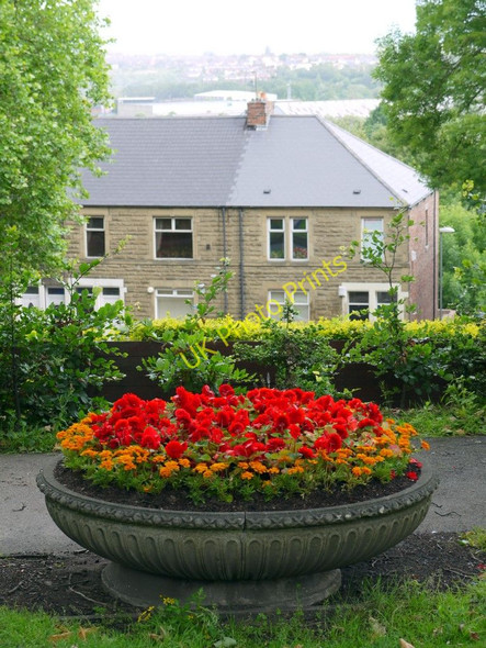 Photo 6"x4" Ornamental planting, Felling Park Felling c2010