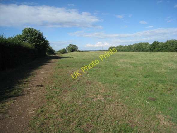 Photo 6"x4" Cow Lane, Adlingfleet Common Fockerby c2010