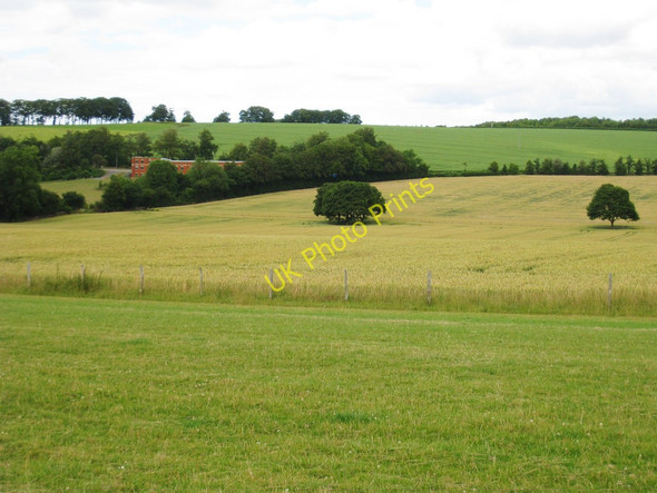 Photo 6"x4" Crop Field and Trees Gravel Castle c2010