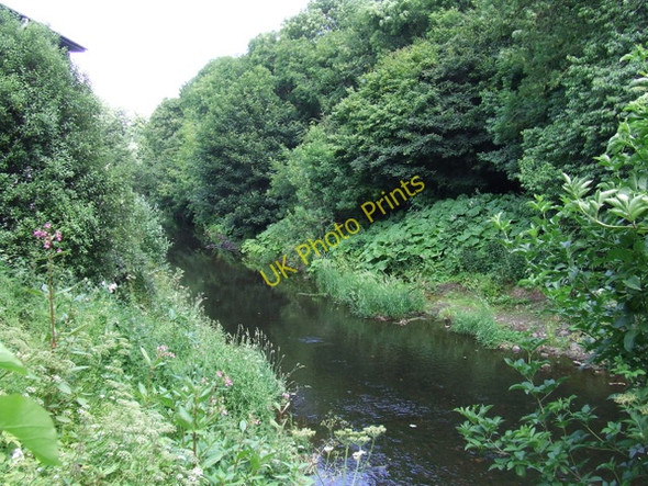Photo 6"x4" Water of Leith Craigleith\/NT2374 c2010