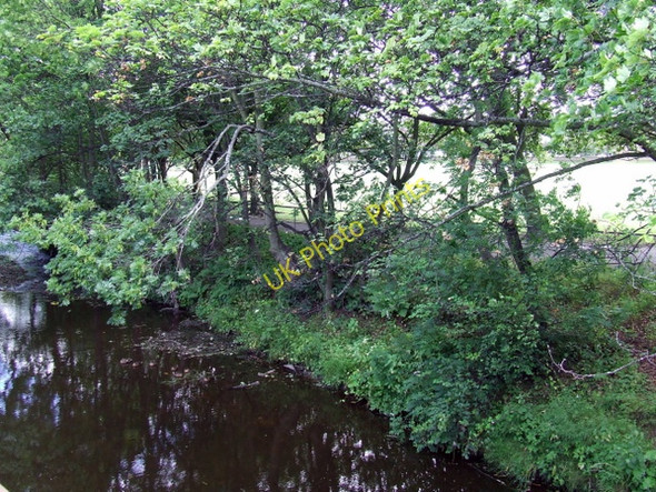 Photo 6"x4" Water of Leith Gorgie c2010