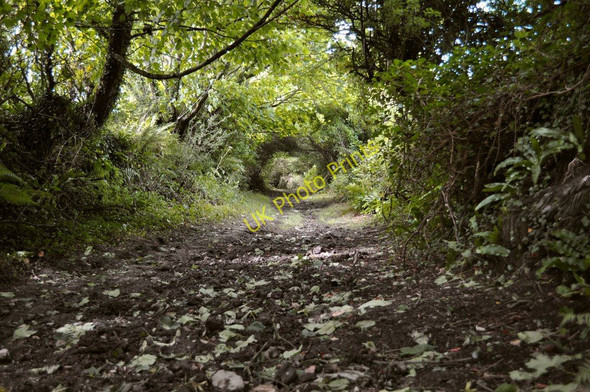 Photo 6"x4" The footpath which leads from Bickenbridge to Higher Campscott Ossaborough c2010