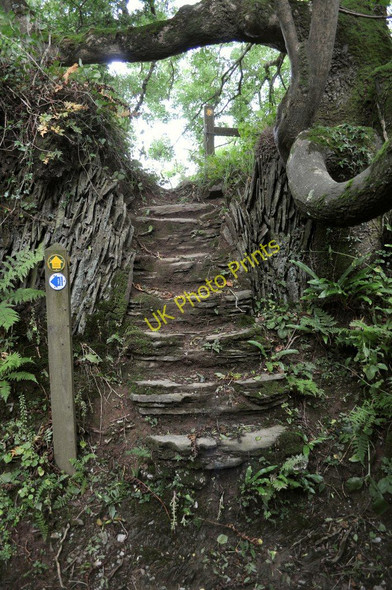 Photo 6"x4" The footpath leaves the bridleway Ossaborough c2010