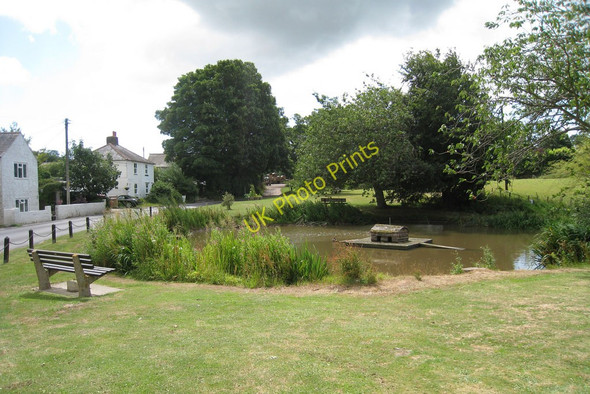 Photo 6"x4" Coldred Street Village Pond Coldred c2010