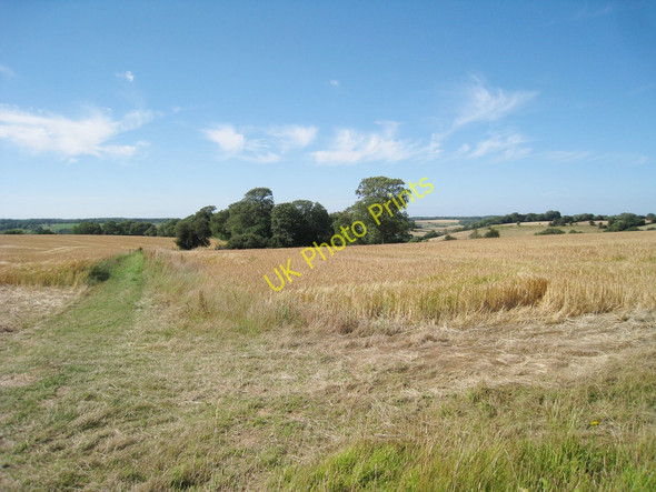 Photo 6"x4" Wheat Field at Standardhill Rough Elham c2010