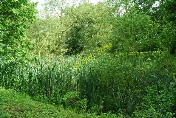 Photo 6"x4" Pond near Budds Underriver Ho c2010