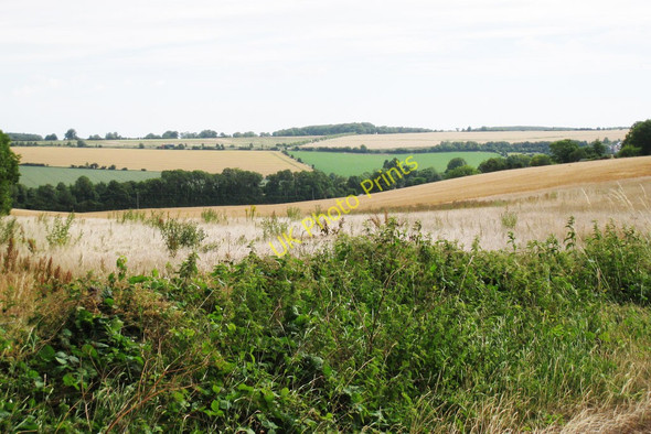 Photo 6"x4" Fields beside Charlton Wood Marley\/TR1850 c2010