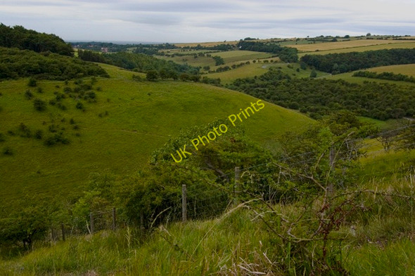 Photo 6"x4" From Sylvan Dale, near Millington Millington c2010