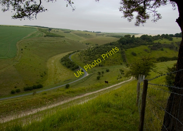 Photo 6"x4" Across Millington Dale Millington c2010