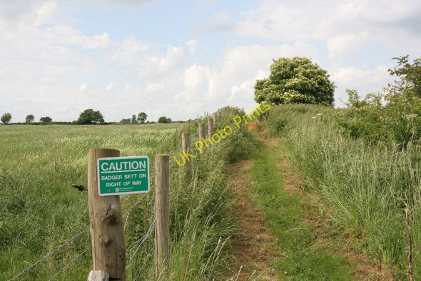 Photo 6"x4" Badger sett ahead Pitsford c2010