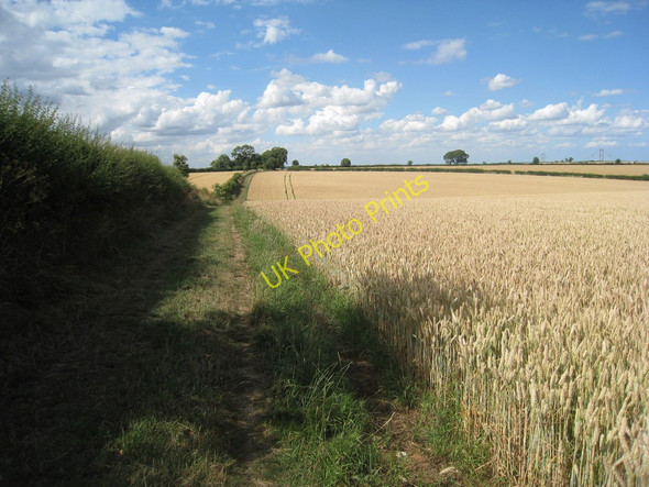Photo 6"x4" Bridleway leading to Horkstow Road Horkstow Wolds c2010