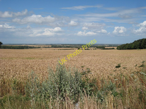 Photo 6"x4" Wheat Field off Adisham Road Womenswold c2010