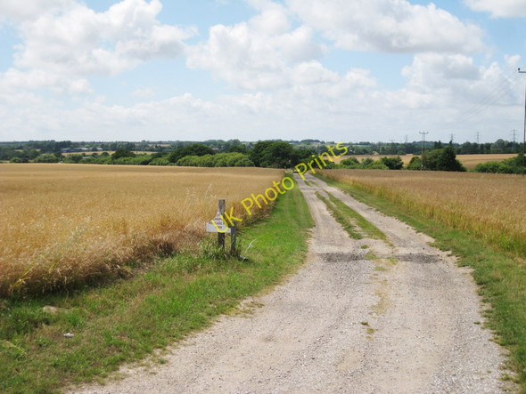 Photo 6"x4" Track off Kennett Lane Stanford\/TR1238 c2010