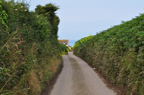Photo 6"x4" Looking down Sandy Lane towards property situated on a sharp left hand bend Higher Warcombe c2010