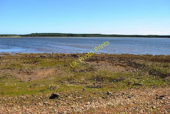 Photo 6"x4" Beach at Loch Fleet Skelbo c2010