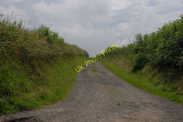 Photo 6"x4" Track heading south west Aberaeron c2010