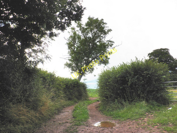 Photo 6"x4" Farm track, near Langford Green Langford Green\/ST0302 c2010