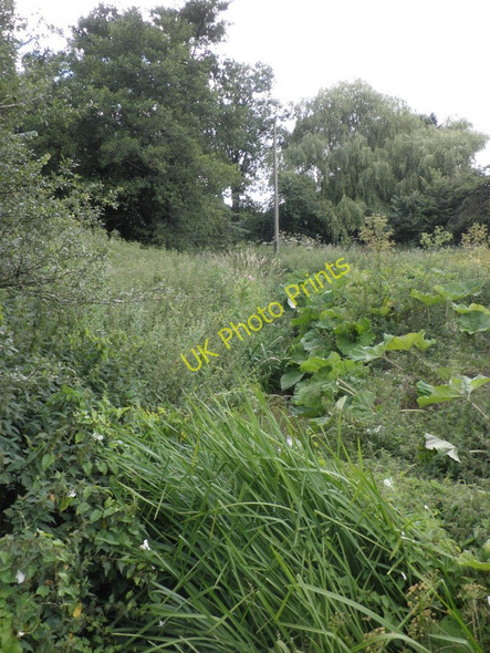 Photo 6"x4" Brook. near Lower Weaver Norman's Green c2010