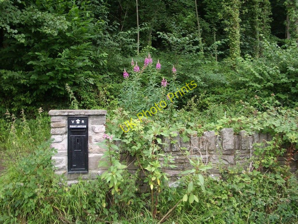 Photo 6"x4" Victorian Letterbox on the edge of woodland, Penmyarth Tretower c2010