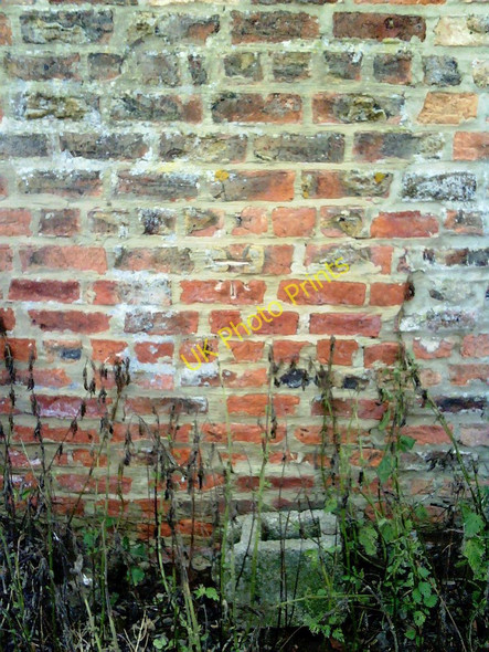 Photo 6"x4" Benchmark on barn SW of Exelby Road Aiskew c2010