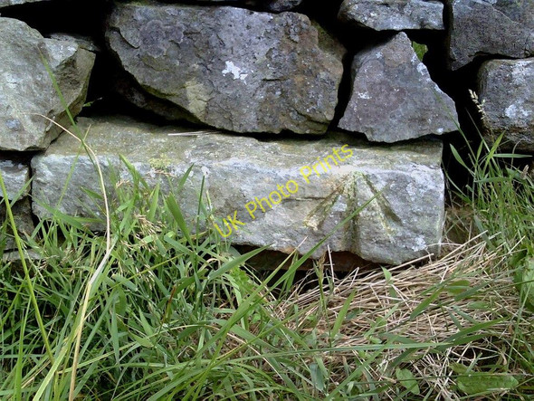 Photo 6"x4" Benchmark on wall on Askrigg Pasture Askrigg c2010