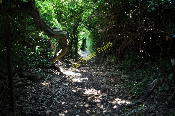 Photo 6"x4" A footpath from Beach road to Sandy Lane Woolacombe c2010