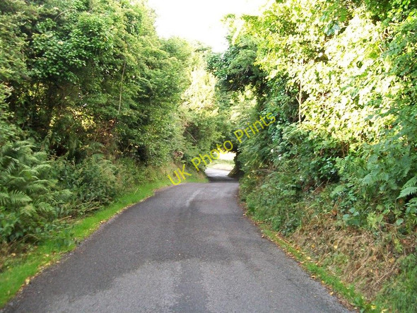 Photo 6"x4" View north-eastwards along Church Hill Road Maghera\/J3734 c2010