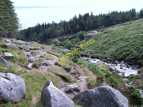 Photo 6"x4" View along the Glen River path in the direction of Donard Forest Newcastle\/J3732 c2010
