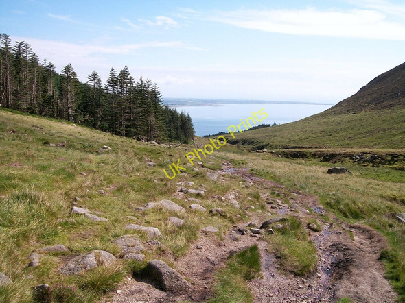 Photo 6"x4" View downslope along the Glen River path Newcastle\/J3732 c2010