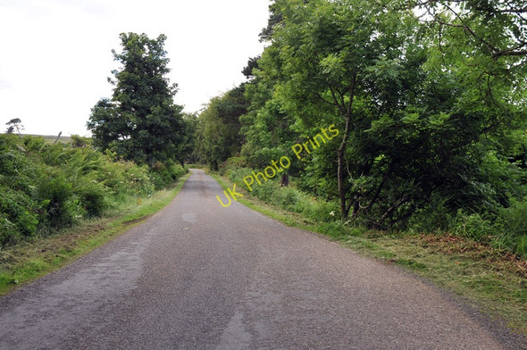 Photo 6"x4" Minor road near Latheronwheel Mains Latheron c2010