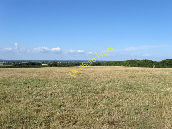 Photo 6"x4" Seven Acres Alciston c2010