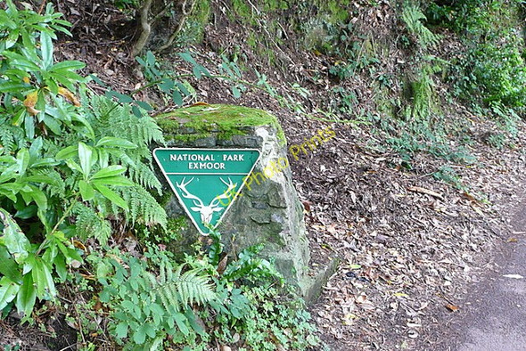 Photo 6"x4" Exmoor National Park Minehead c2010