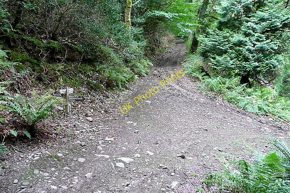 Photo 6"x4" In Yenworthy Combe Oare\/SS8047 c2010