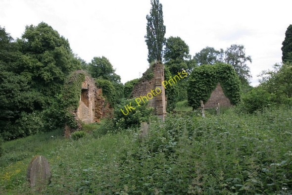 Photo 6"x4" Nettles round the church Boughton\/SP7565 c2010
