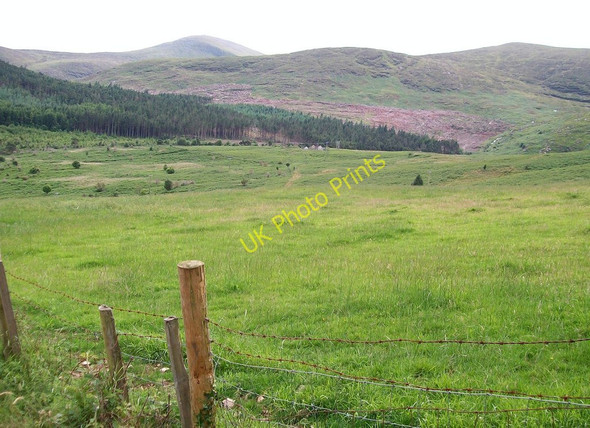 Photo 6"x4" View across rough grassland towards forest land on Drinnahilly Newcastle\/J3732 c2010