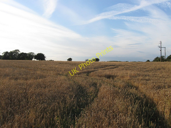 Photo 6"x4" New Field Milton Street c2010