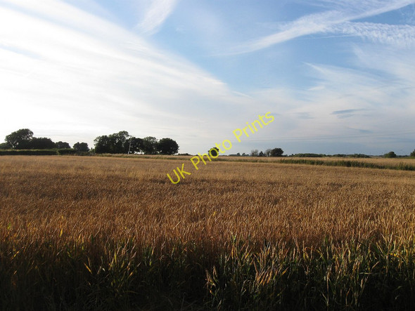 Photo 6"x4" Martins Field Milton Street c2010